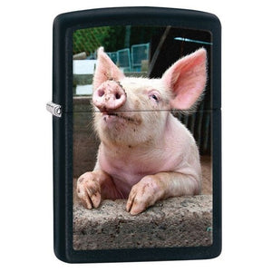 ZIPPO Pig Dreaming 29394